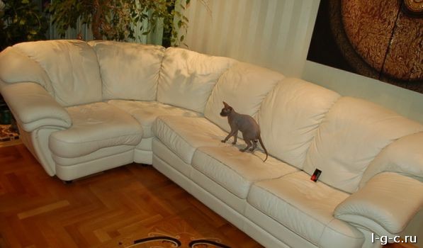 Купить мебель антивандальная. Антивандальный диван. Угловой диван из антивандальной ткани. Антивандальный материал для диванов. Антивандальная ткань для дивана от кошек.